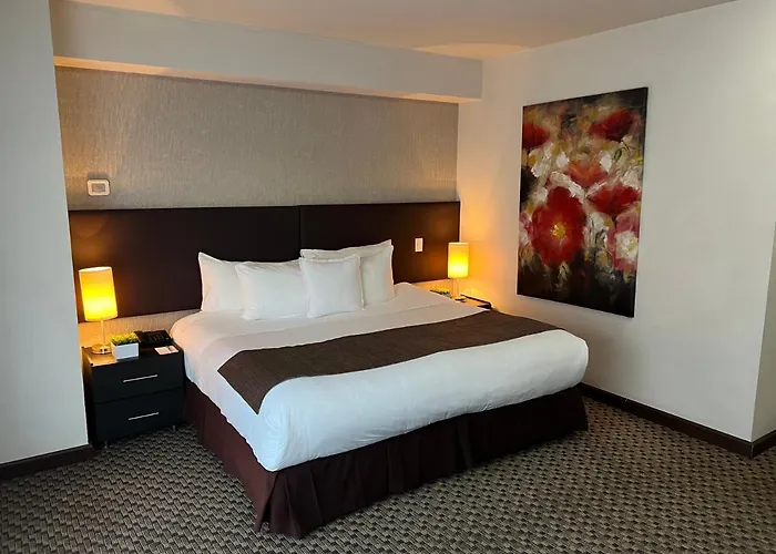 St Isidro Corporate Housing & Wellness Center Hotel Mexico City
