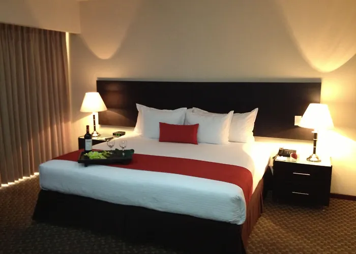 酒店 St Isidro Corporate Housing & Wellness Center 4*