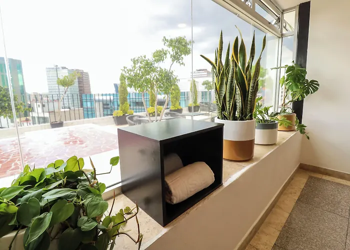 St Isidro Corporate Housing & Wellness Center 酒店 墨西哥城
